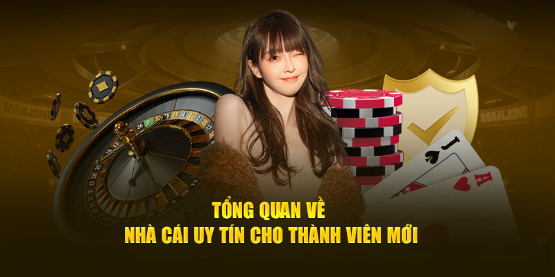 Giới Thiệu Bong88 - Điểm Đến Lý Tưởng Cho Tín Đồ Cá Cược 1 Tổng quan chung về Bong88